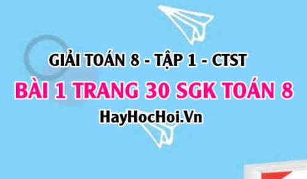 Giải bài 1 trang 30 Toán 8 Tập 1 SGK Chân trời sáng tạo